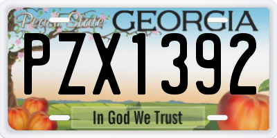 GA license plate PZX1392