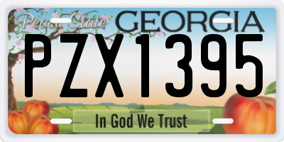 GA license plate PZX1395