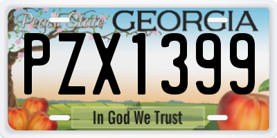 GA license plate PZX1399
