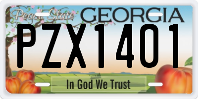 GA license plate PZX1401