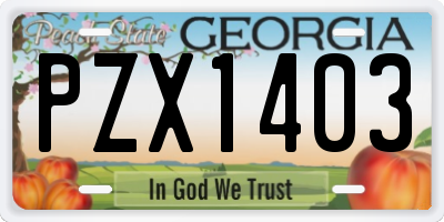 GA license plate PZX1403