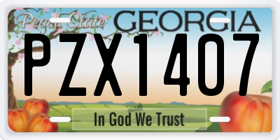 GA license plate PZX1407