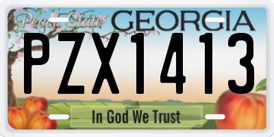 GA license plate PZX1413