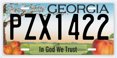 GA license plate PZX1422