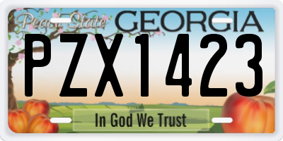 GA license plate PZX1423