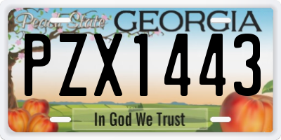 GA license plate PZX1443