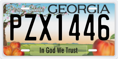 GA license plate PZX1446