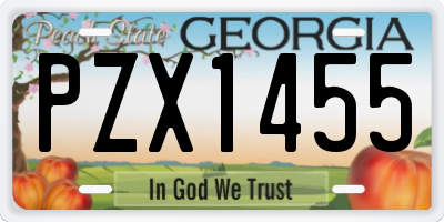 GA license plate PZX1455