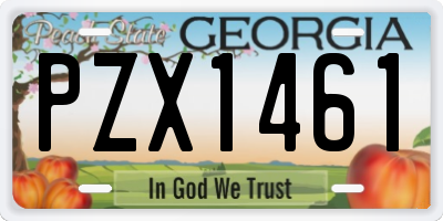 GA license plate PZX1461