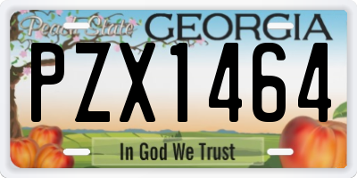 GA license plate PZX1464
