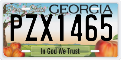 GA license plate PZX1465