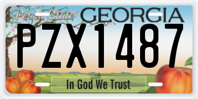 GA license plate PZX1487