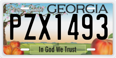GA license plate PZX1493