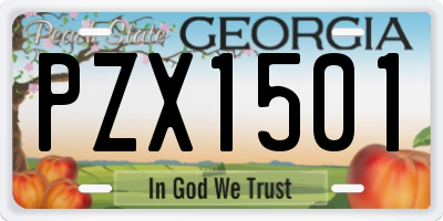 GA license plate PZX1501