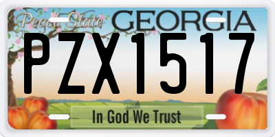 GA license plate PZX1517