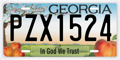 GA license plate PZX1524