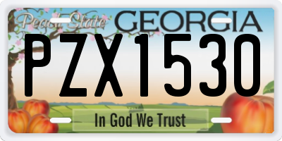 GA license plate PZX1530