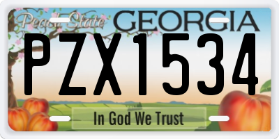 GA license plate PZX1534