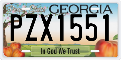 GA license plate PZX1551