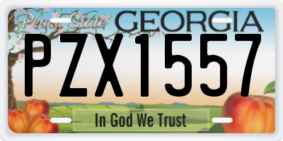 GA license plate PZX1557