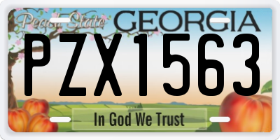 GA license plate PZX1563
