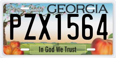 GA license plate PZX1564