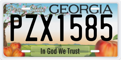 GA license plate PZX1585
