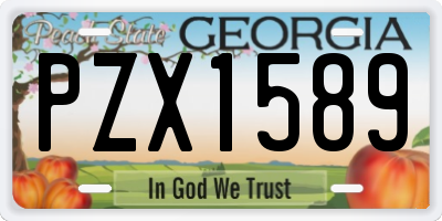 GA license plate PZX1589