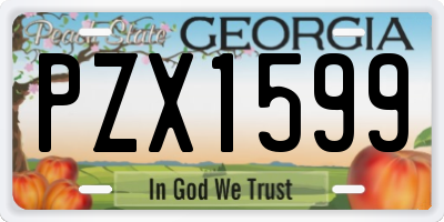 GA license plate PZX1599