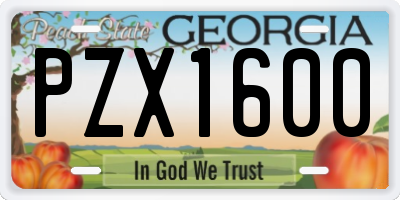 GA license plate PZX1600