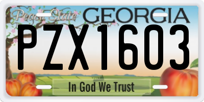 GA license plate PZX1603