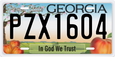 GA license plate PZX1604