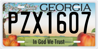 GA license plate PZX1607