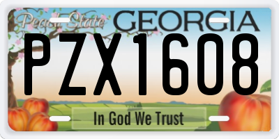 GA license plate PZX1608