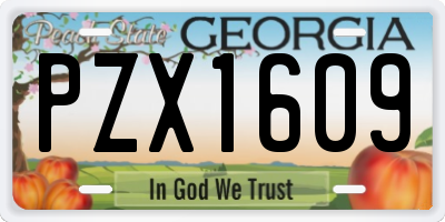 GA license plate PZX1609