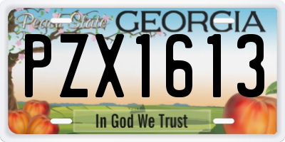 GA license plate PZX1613