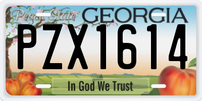 GA license plate PZX1614