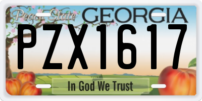 GA license plate PZX1617