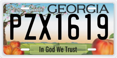 GA license plate PZX1619