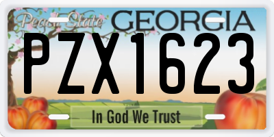 GA license plate PZX1623