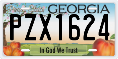 GA license plate PZX1624
