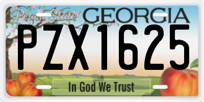 GA license plate PZX1625