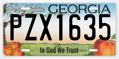 GA license plate PZX1635