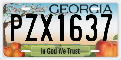 GA license plate PZX1637