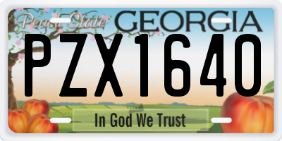 GA license plate PZX1640