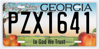 GA license plate PZX1641