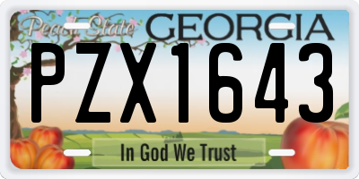 GA license plate PZX1643
