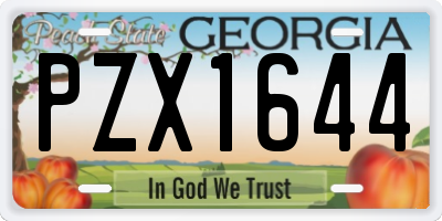 GA license plate PZX1644