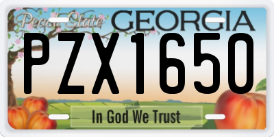 GA license plate PZX1650
