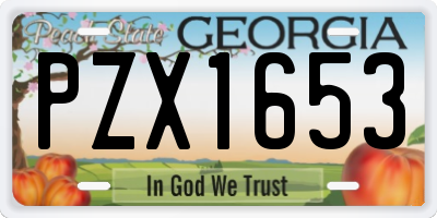 GA license plate PZX1653